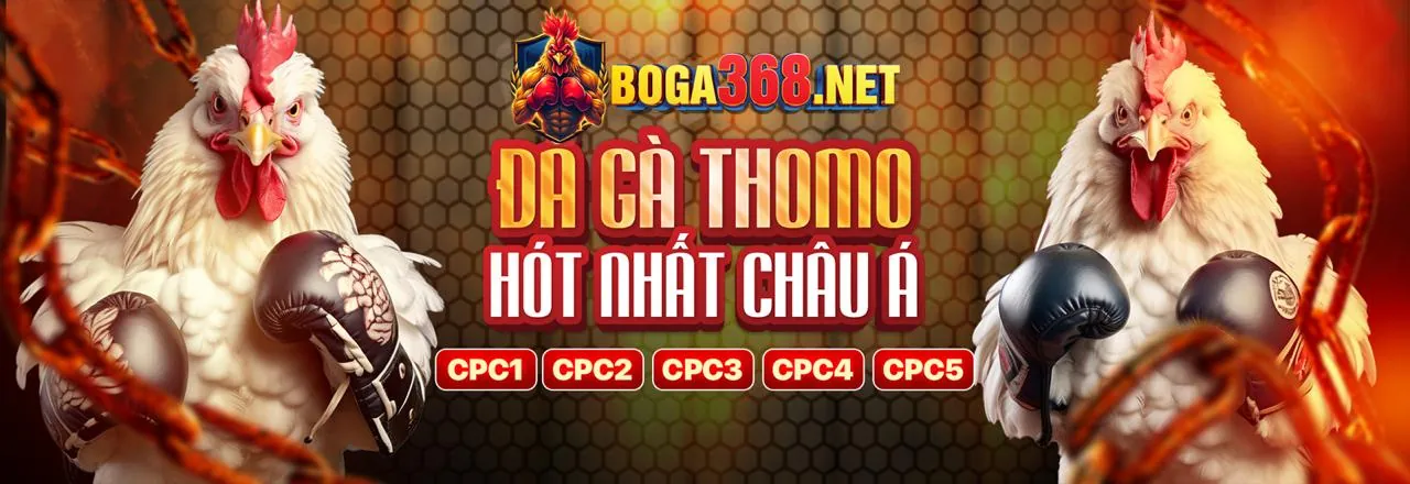 Chương Trình Khách Hàng Thân Thiết VIP ta28 chính thức